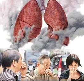 &#20048;&#40060;