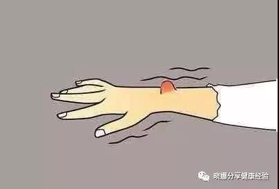&#20048;&#40060;