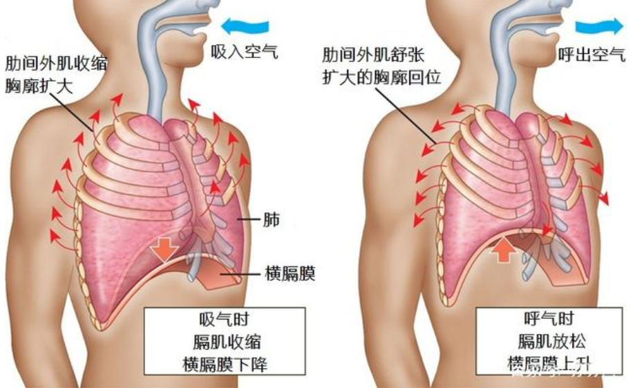 &#20048;&#40060;