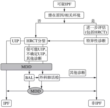 &#20048;&#40060;
