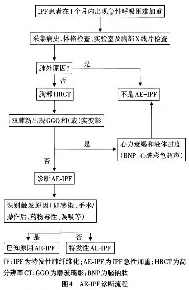&#20048;&#40060;