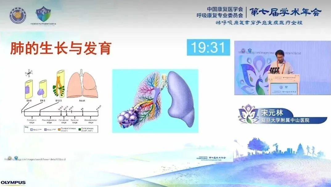 &#20048;&#40060;
