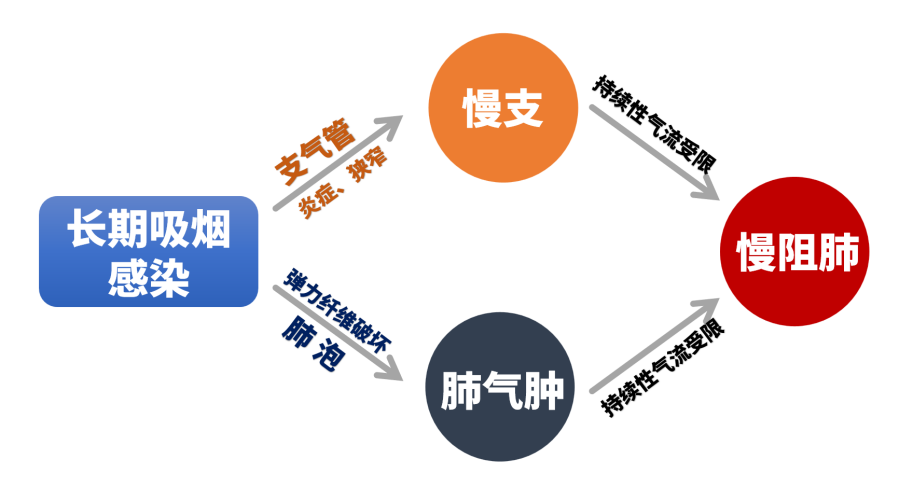 &#20048;&#40060;