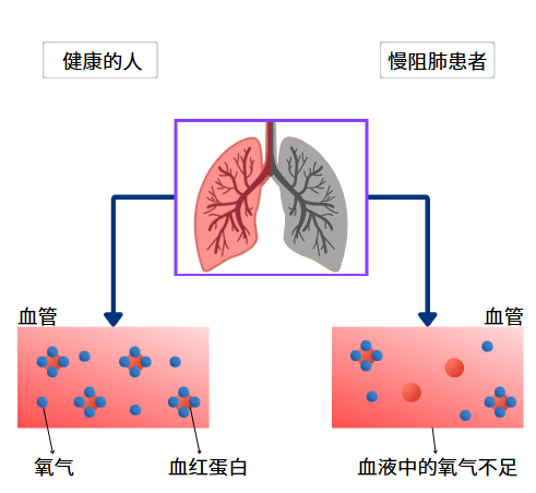 &#20048;&#40060;